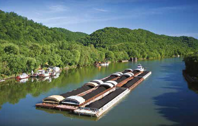 A marina surrounded by nature, filled with sailboats and yachts on a calm lake.