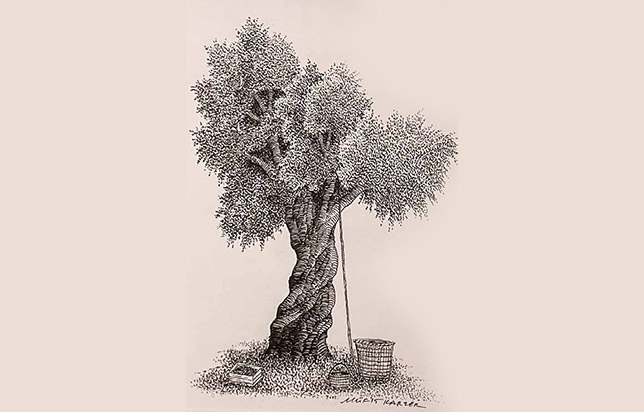 The entrance of the Akademia exhibition hall with a poster and framed art pieces on the wall.